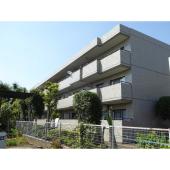 3階建て