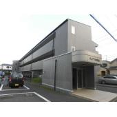 陽当たり良好