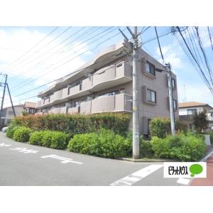 シャン ヒルズ