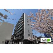 9階建て