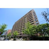 14階建て 外観