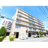 南向きのお部屋です
