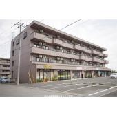 ハイクオリティⅤ