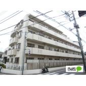 きれいな外観