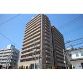 市役所近く!