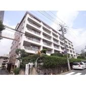 日当たり良好です