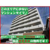 ☆白の外観