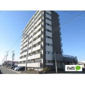 ☆9階建RC造