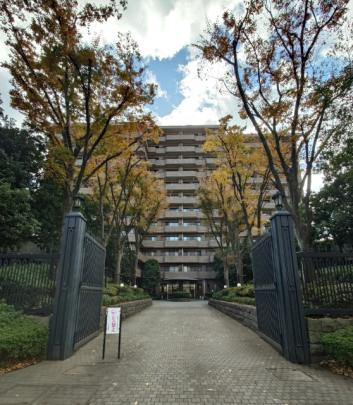 �l�C�̕����}���V�����I