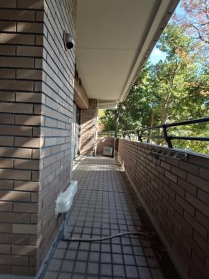 ������̍L���o���R�j�[