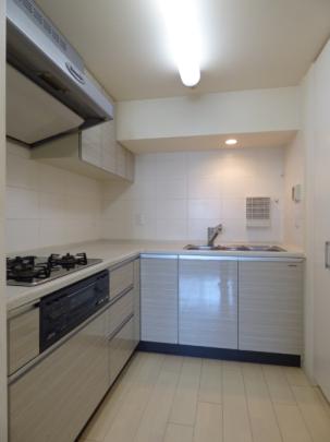 �����^�C�v�ʎ��̉摜�ł�