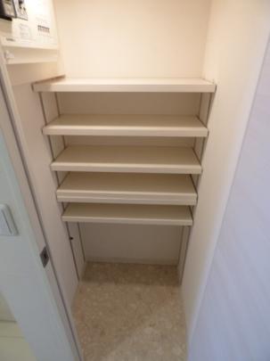 �����^�C�v�ʎ��̉摜�ł�