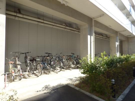 ���L����