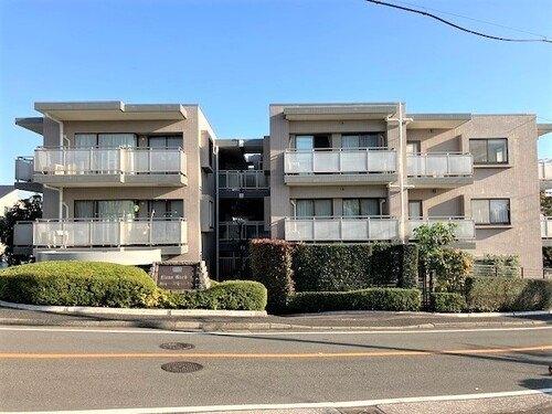 �l�C�̕����}���V����