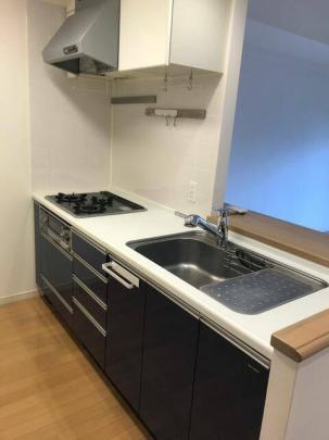 �V�X�e���L�b�`���ł�