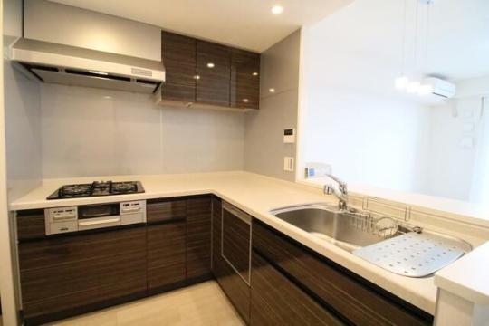 �V�X�e���L�b�`���ł�