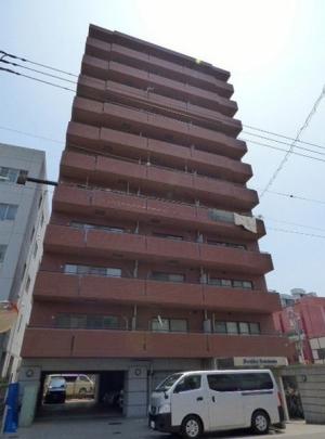 �v�����h�[�����l