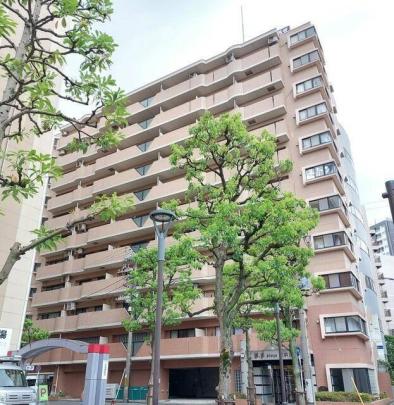 �A�[���E�P�[�v���U���l�h�h�h