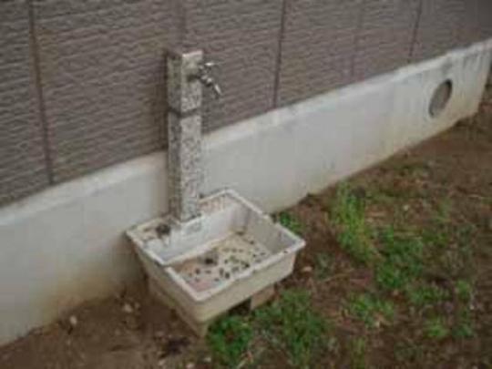 ���L����