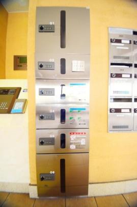 ���L����