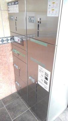 ���L����