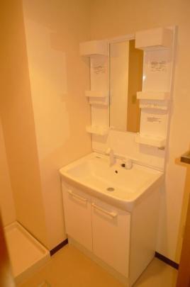 �l�C�̓Ɨ����ʏ�