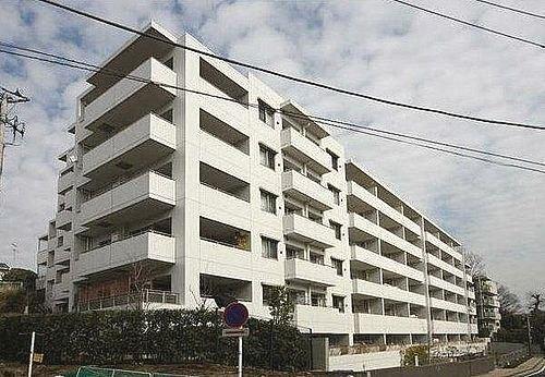 �R�[�g�q���Y���_�R��T�E�X��