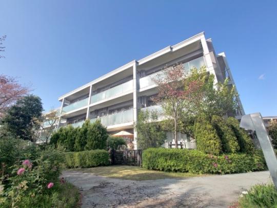 �O�����m�A�`�k�̋u13�Ԋ�