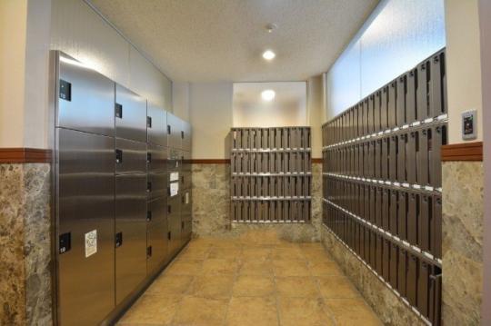 ���L����