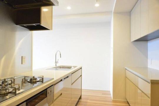 �V�X�e���L�b�`���ł�