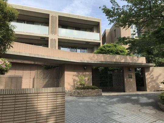 �n�C�R�[�g�R��p��244���