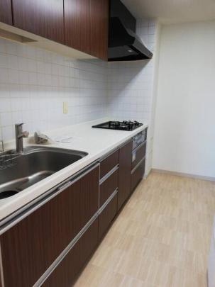 �V�X�e���L�b�`��