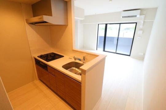 �V�X�e���L�b�`��