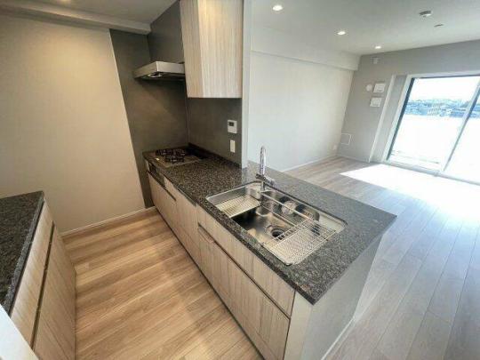 �V�X�e���L�b�`���ł�