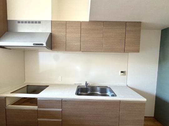 �V�X�e���L�b�`��