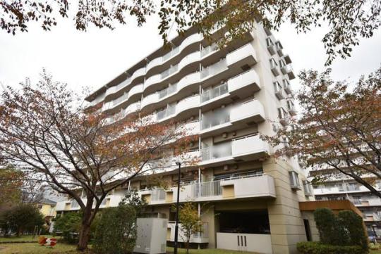 �t�q�v���U�V�e�B���͑��