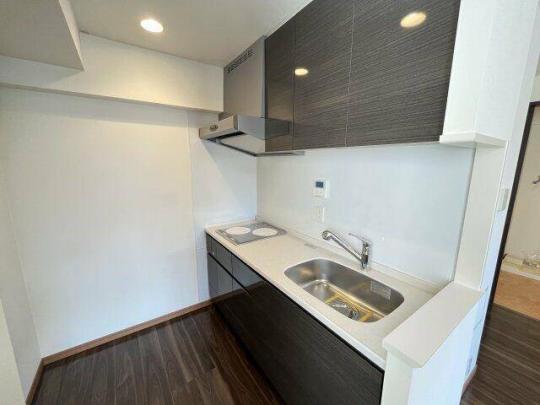 �V�X�e���L�b�`��