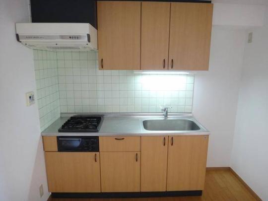 �V�X�e���L�b�`��