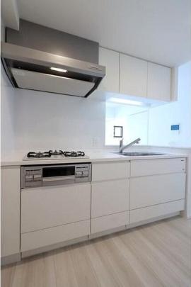 �V�X�e���L�b�`��