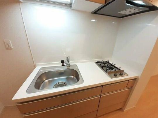 �V�X�e���L�b�`��