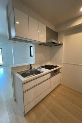 �V�X�e���L�b�`��