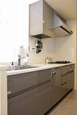 �V�X�e���L�b�`��