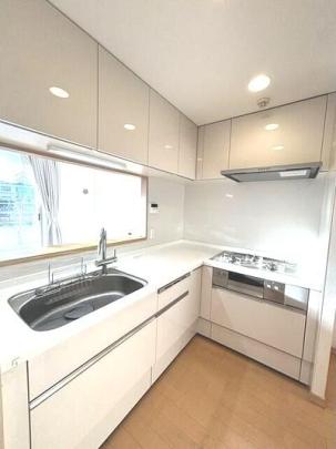 �V�X�e���L�b�`���ł�