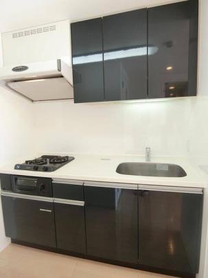 �V�X�e���L�b�`��