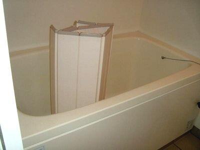 �����ł�