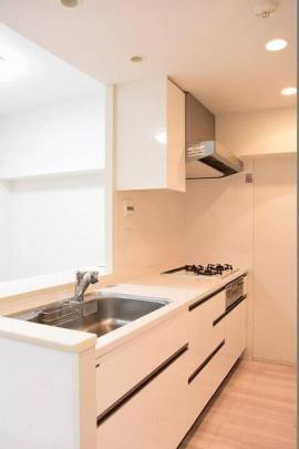 �V�X�e���L�b�`��