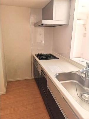 �V�X�e���L�b�`��