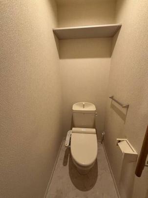 �������֍�