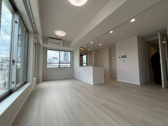 ���j�^�[�t���C���^�[�z���ł�