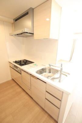 �V�X�e���L�b�`���ł�